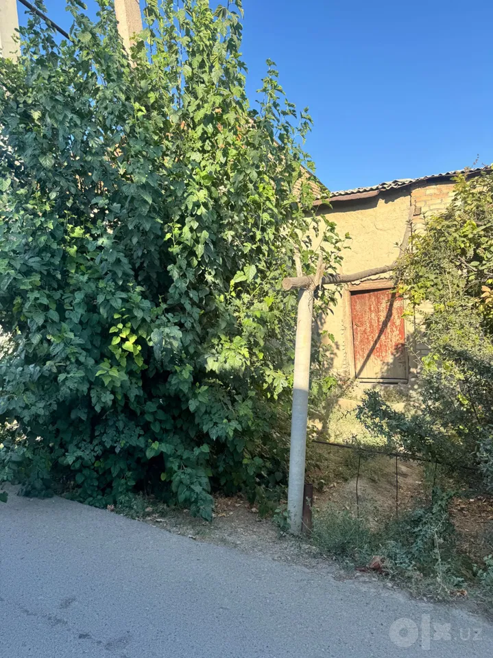 Bukhara Region, Bukhara