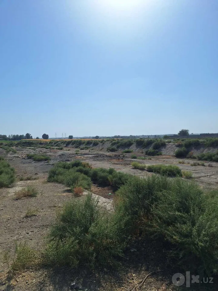 Tashkent Region