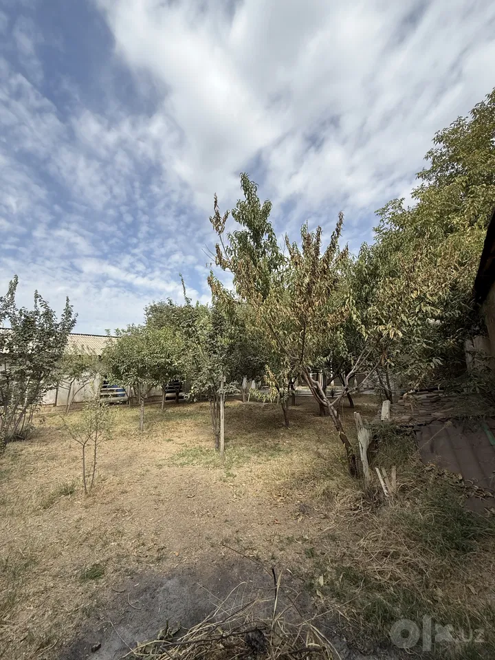 Tashkent City, Yunusobod District