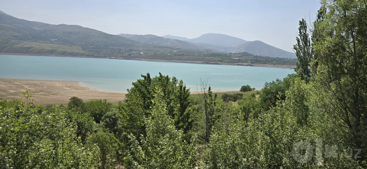 Tashkent Region