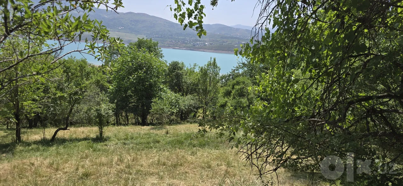Tashkent Region
