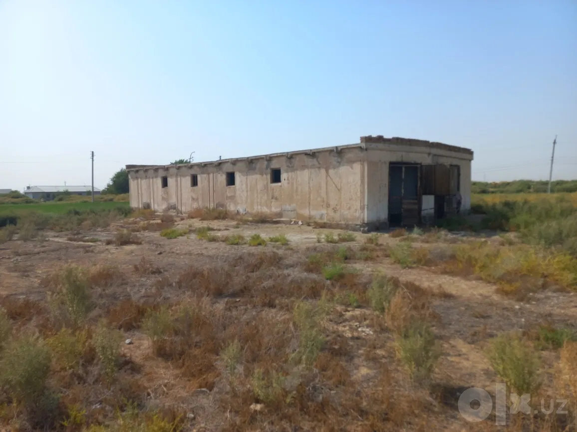 Surkhandarya Region
