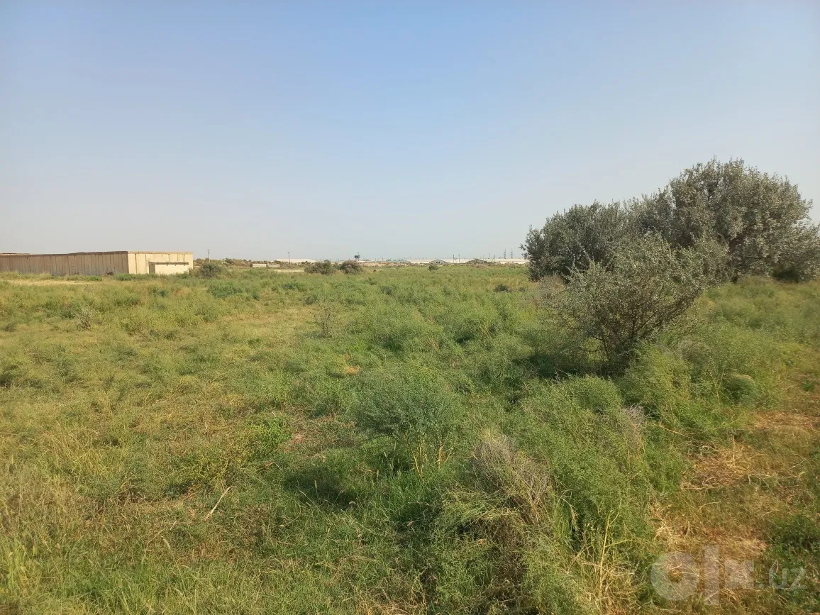 Surkhandarya Region