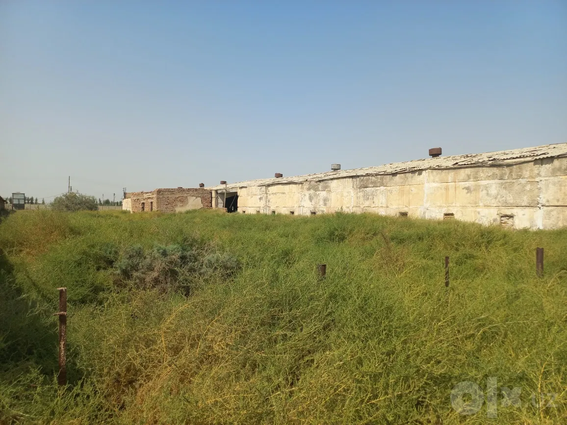 Surkhandarya Region