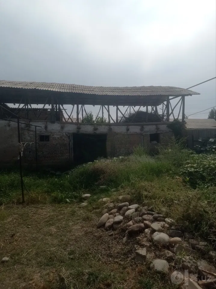Tashkent Region