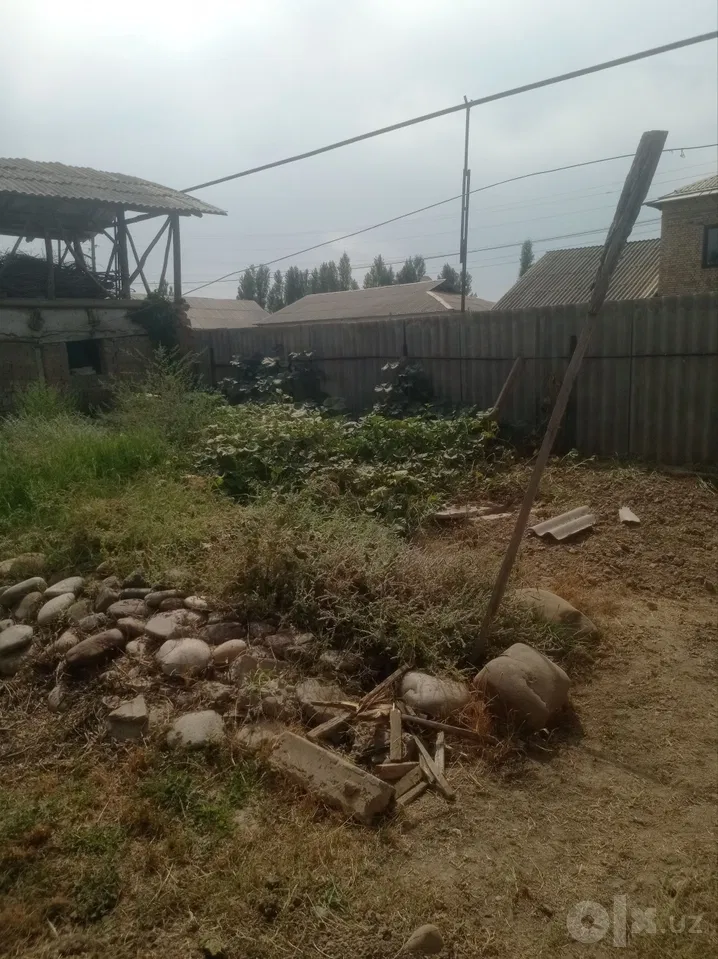 Tashkent Region