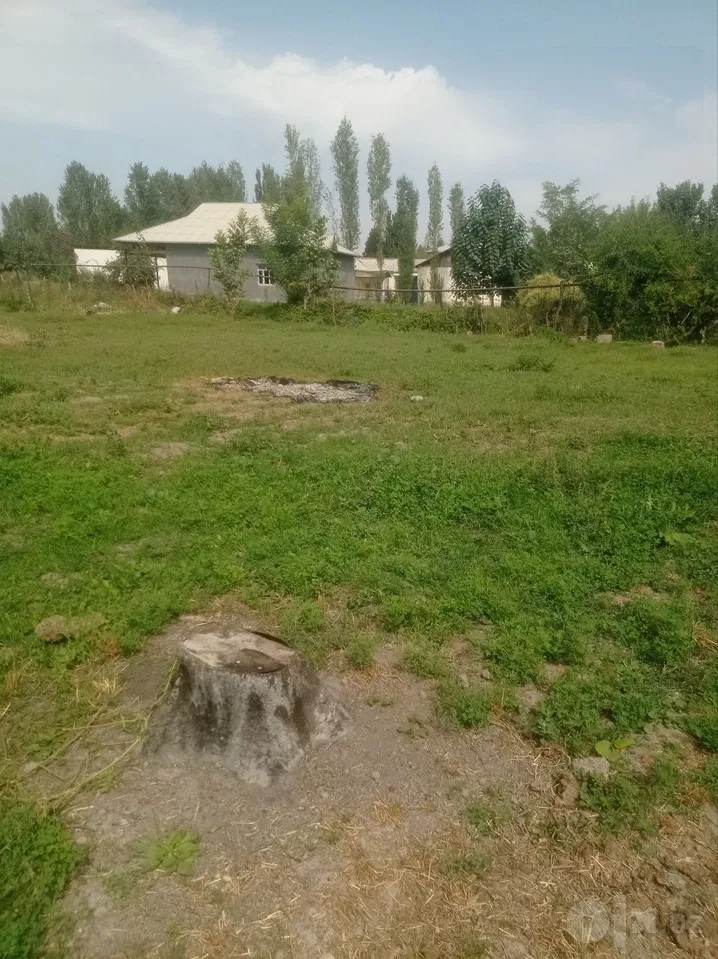 Tashkent Region