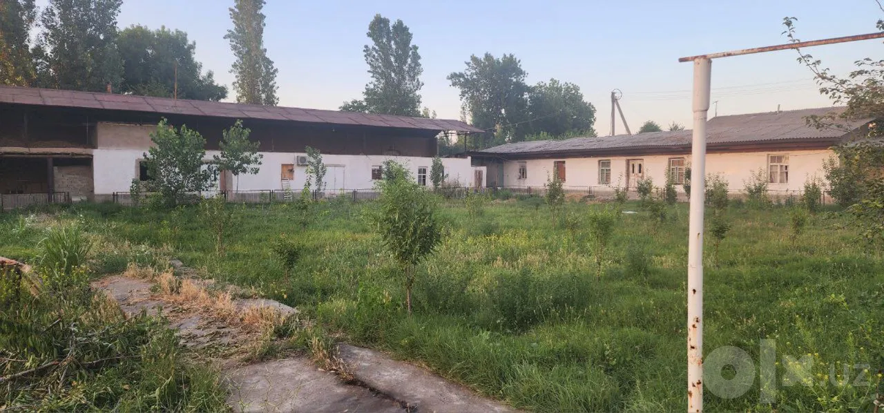 Tashkent Region