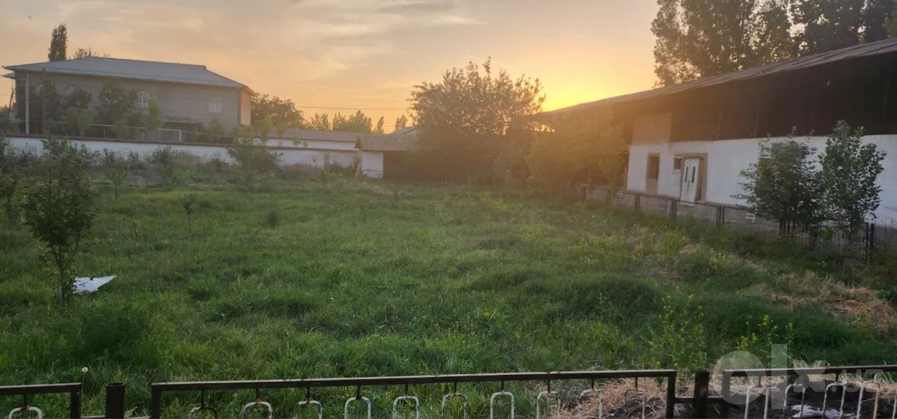 Tashkent Region