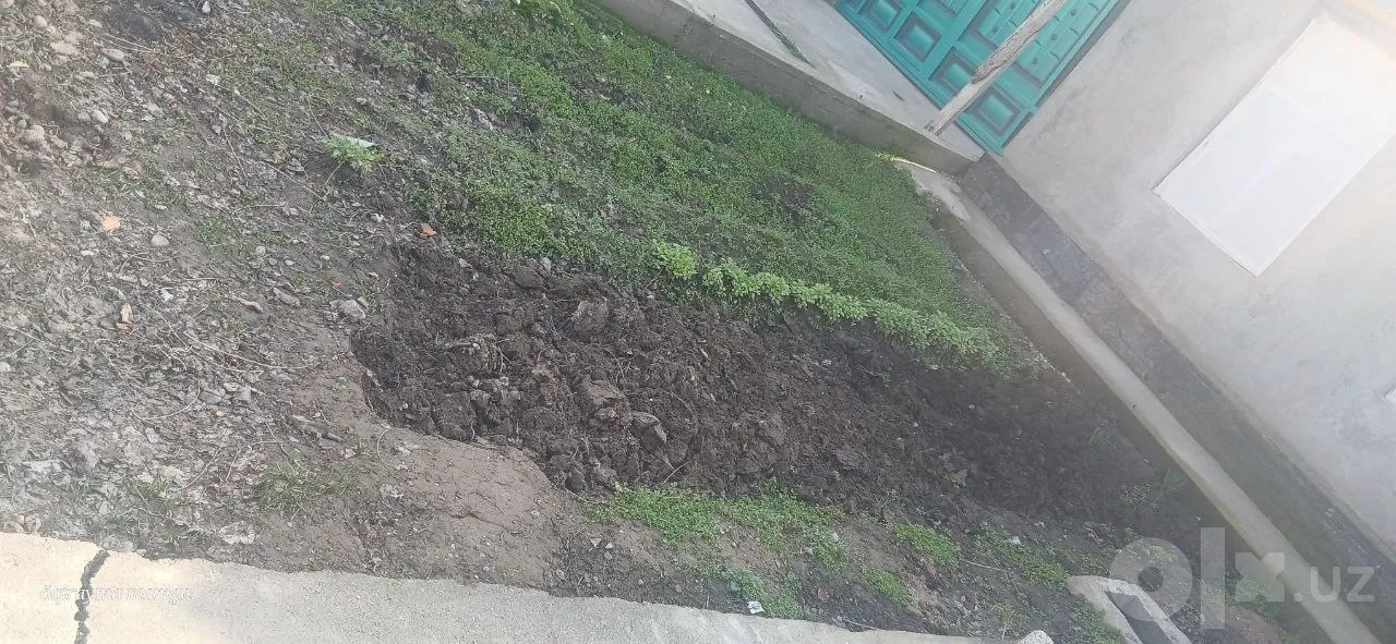 Tashkent City, Sergeli District