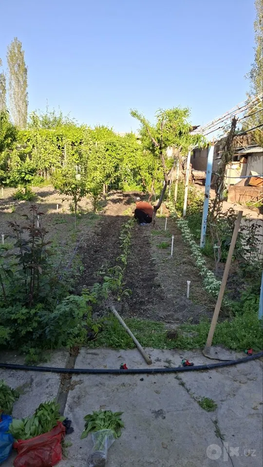 Tashkent Region, Nurafshon