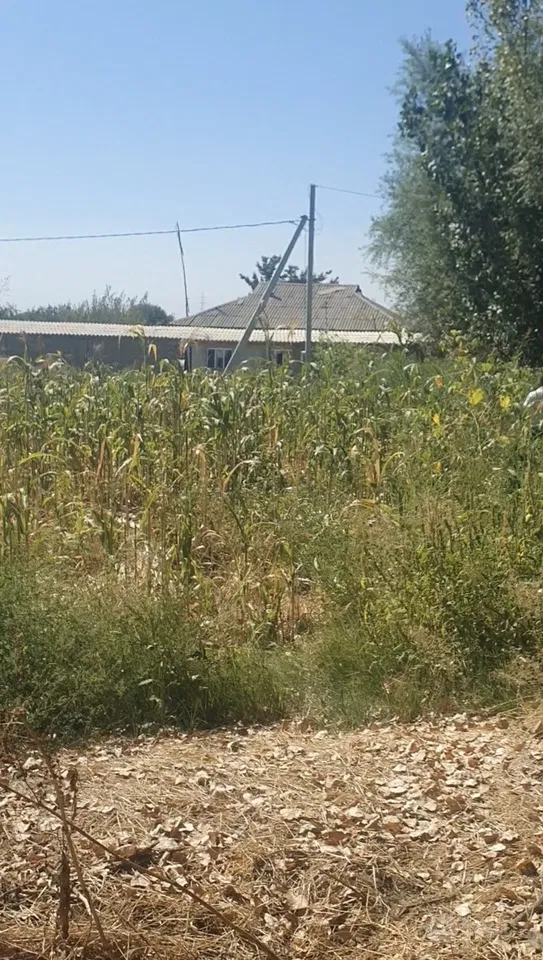 Tashkent City, Yunusobod District