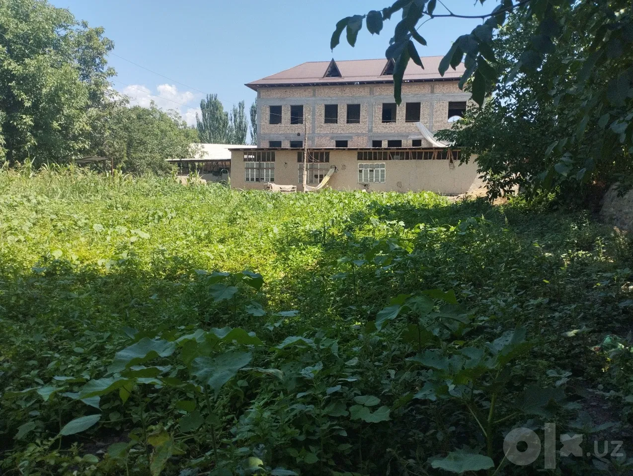 Namangan viloyati, Namangan