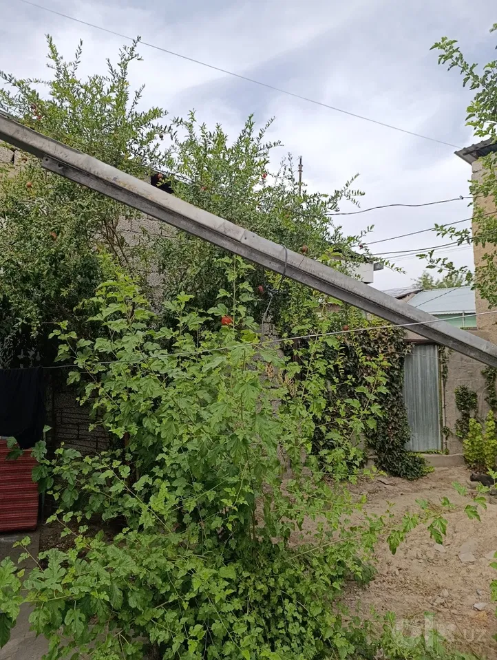 Tashkent City, Mirobod District