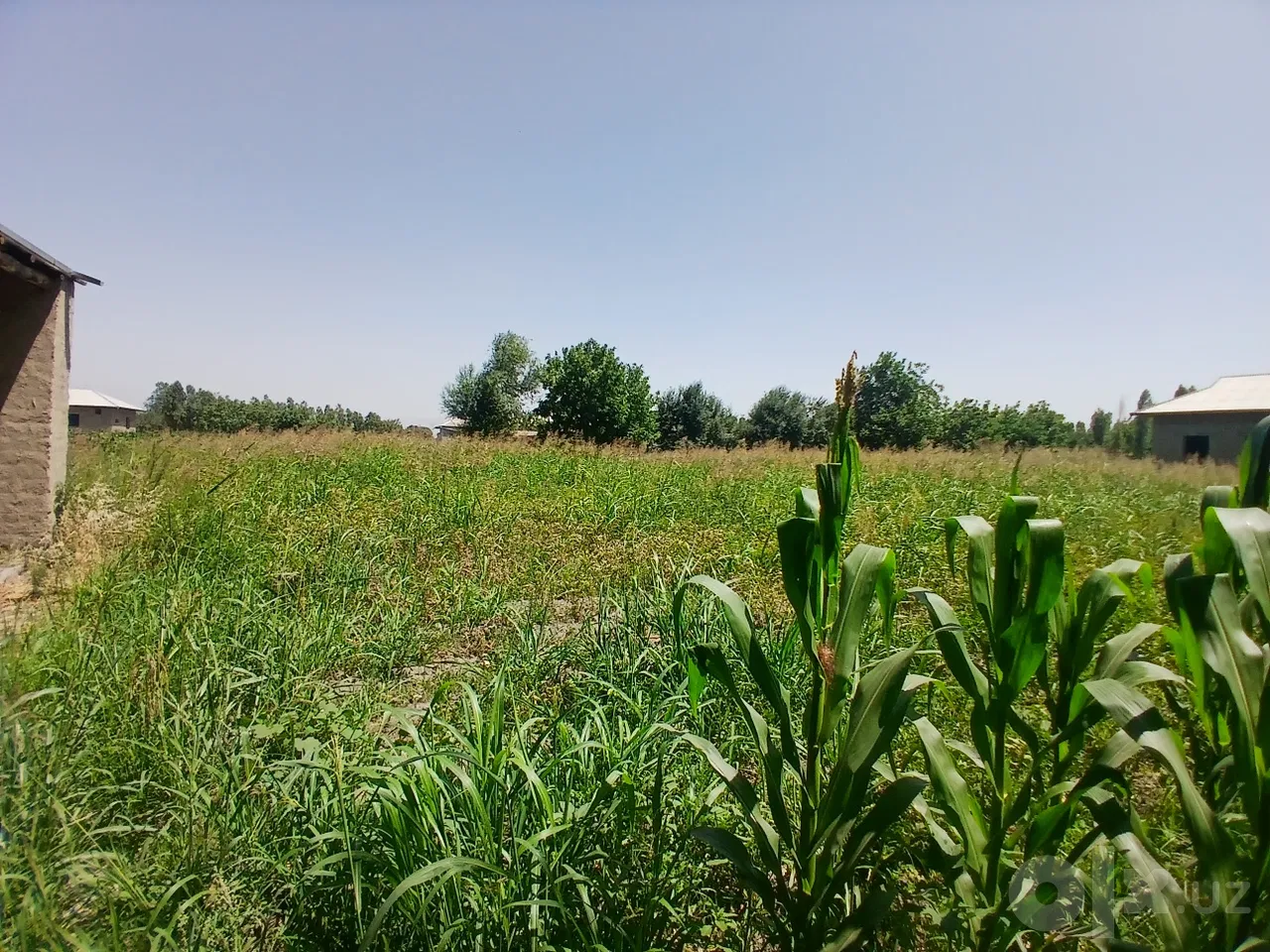 Samarkand Region, Bulung'ur District