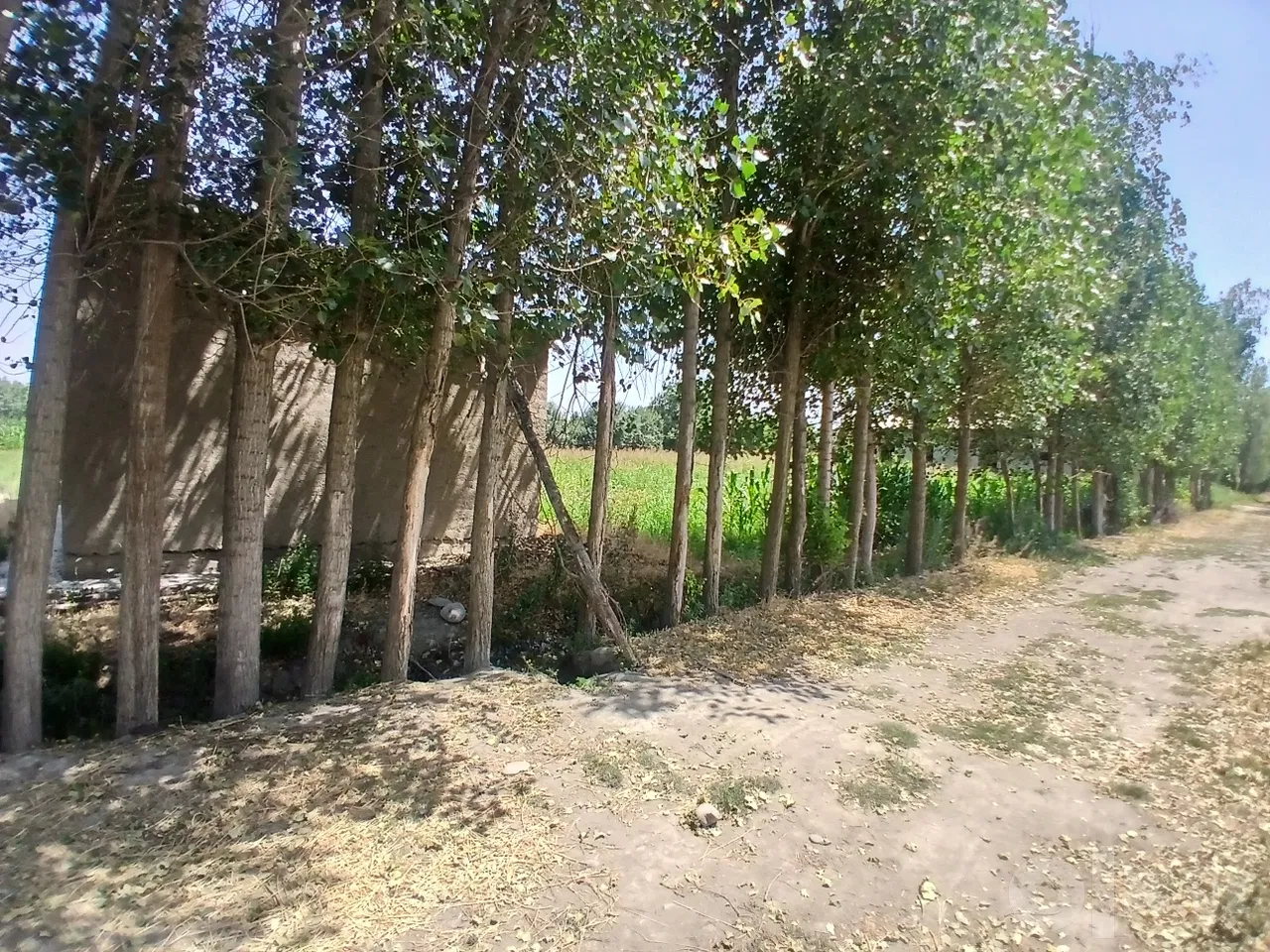Samarkand Region, Bulung'ur District