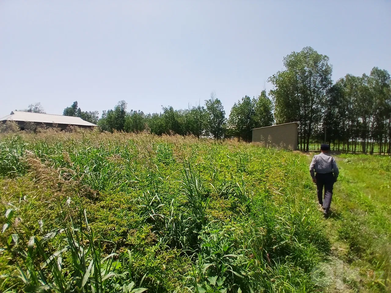 Samarkand Region, Bulung'ur District