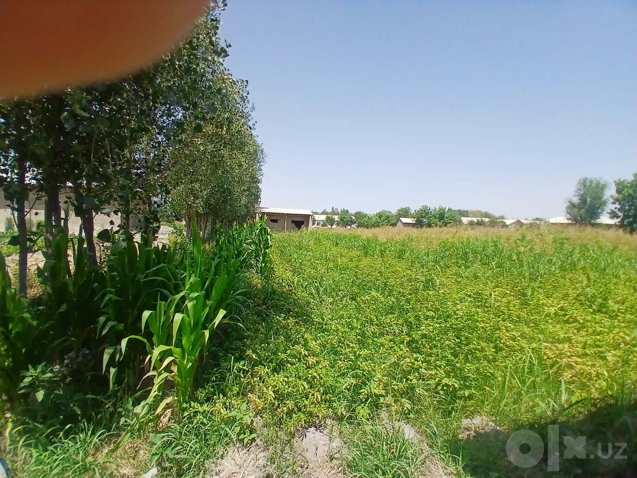 Samarkand Region, Bulung'ur District
