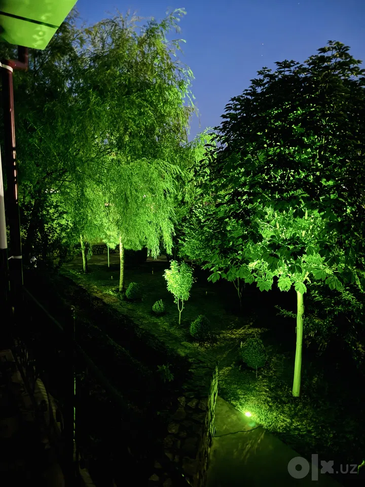 Tashkent Region