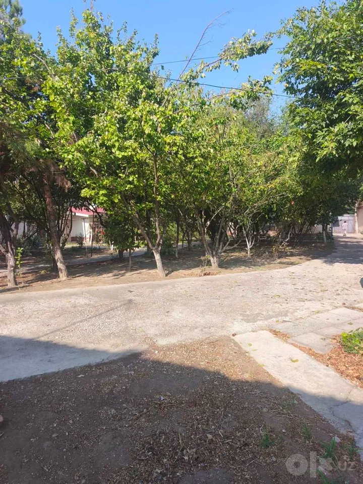 Tashkent City, Mirzo Ulug'bek District