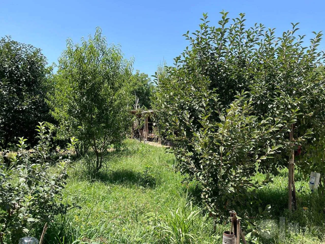 Tashkent Region, Qibray District