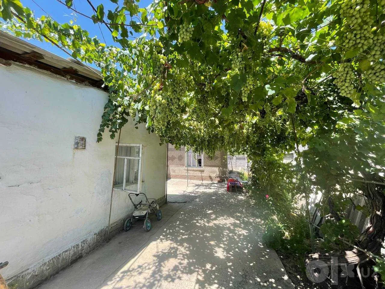 Tashkent Region, Qibray District