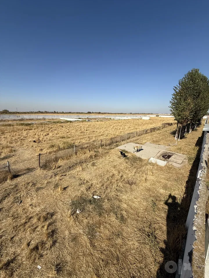 Tashkent Region, Nurafshon