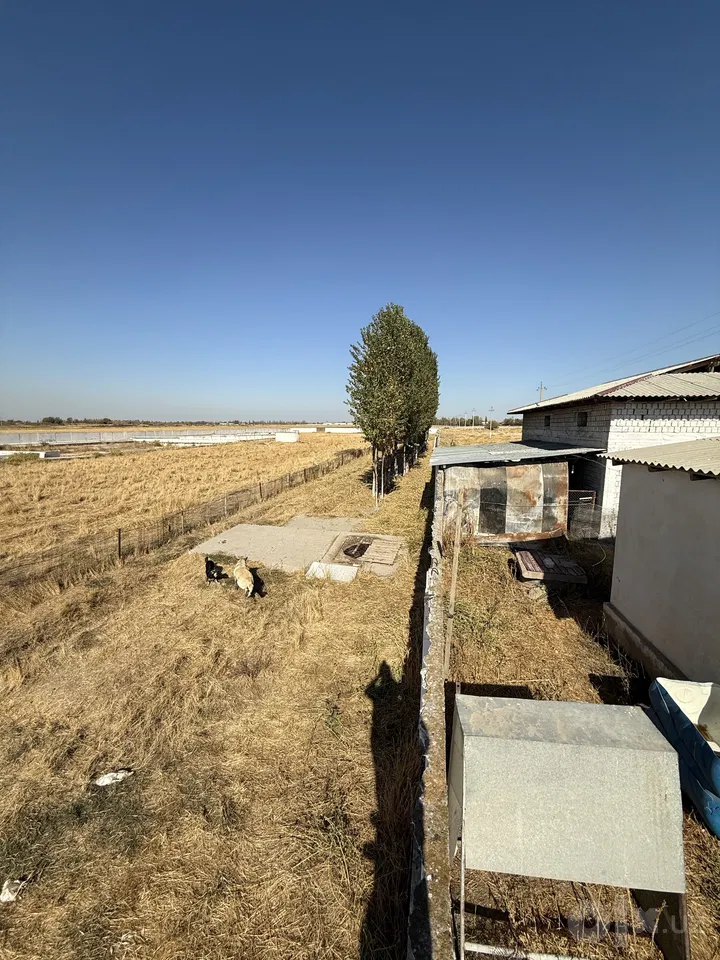 Tashkent Region, Nurafshon