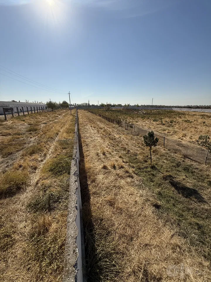 Tashkent Region, Nurafshon