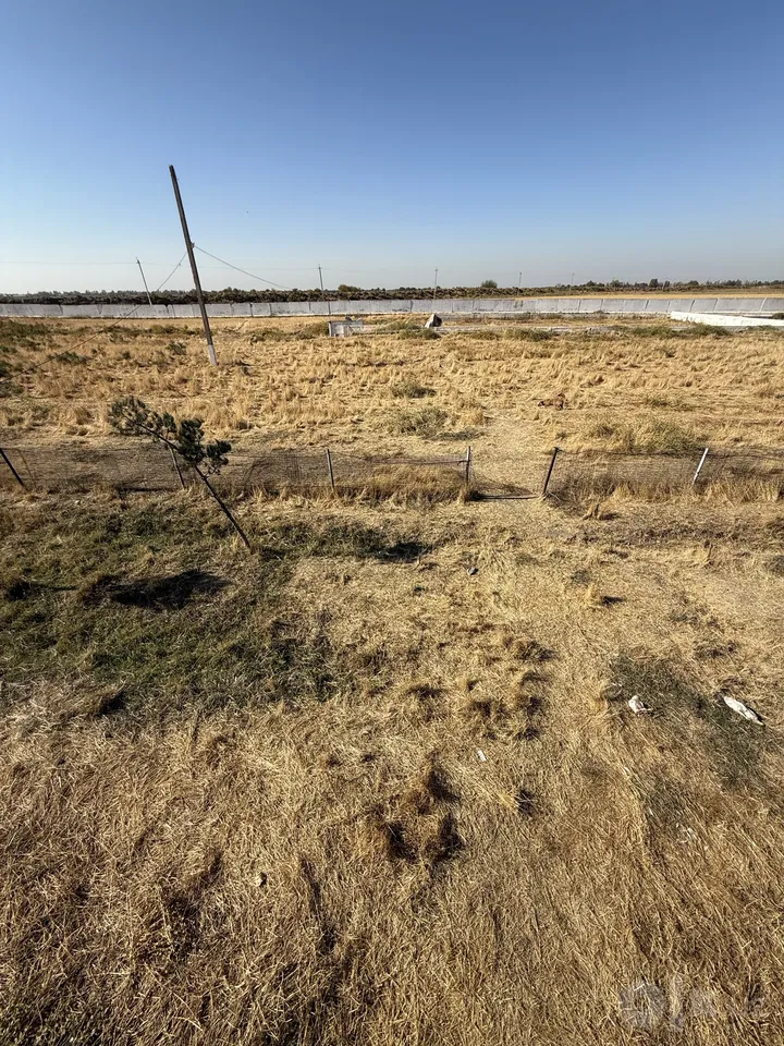 Tashkent Region, Nurafshon