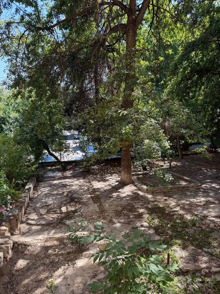 Tashkent City, Yunusobod District
