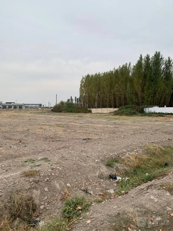Tashkent City, Mirzo Ulug'bek District
