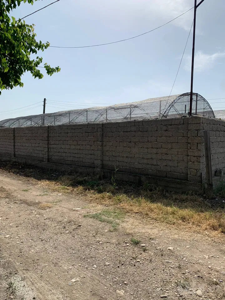 Tashkent City, Mirzo Ulug'bek District