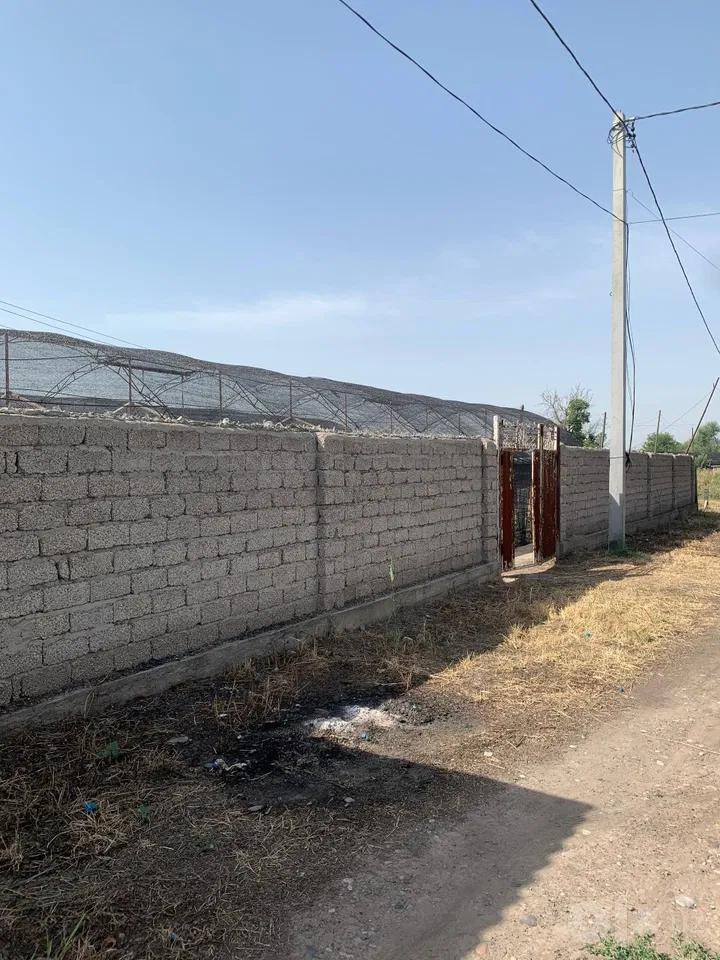Tashkent City, Mirzo Ulug'bek District