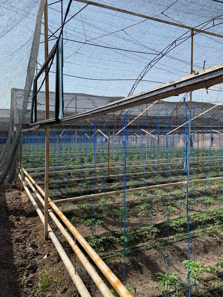 Tashkent City, Mirzo Ulug'bek District