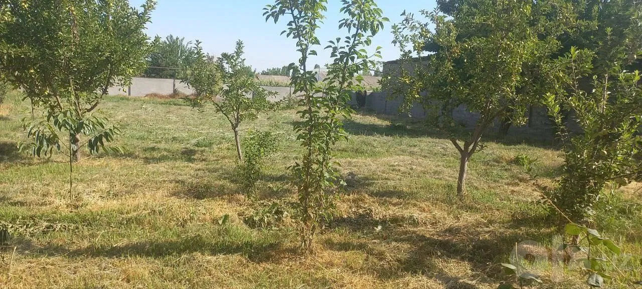 Tashkent Region, Nurafshon