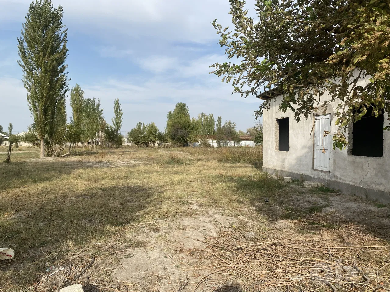 Tashkent Region