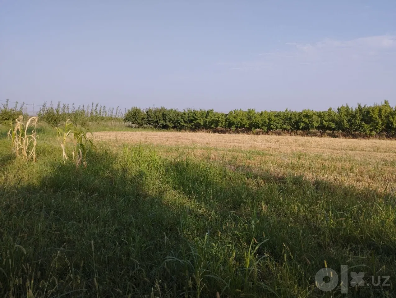 Fergana Region, Toshloq District