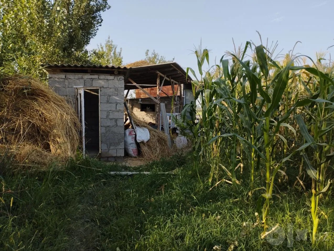Fergana Region, Toshloq District