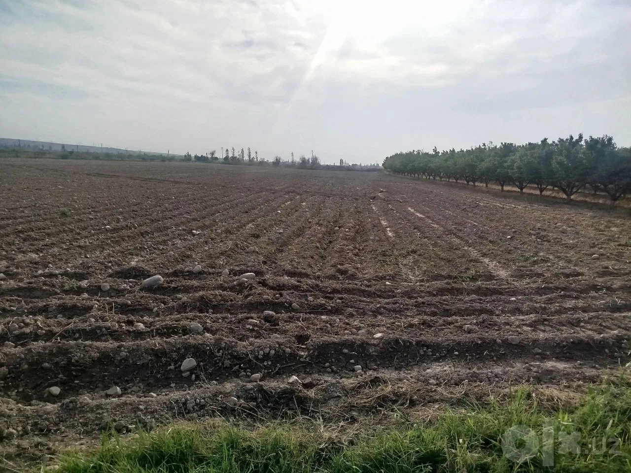 Fergana Region, Toshloq District