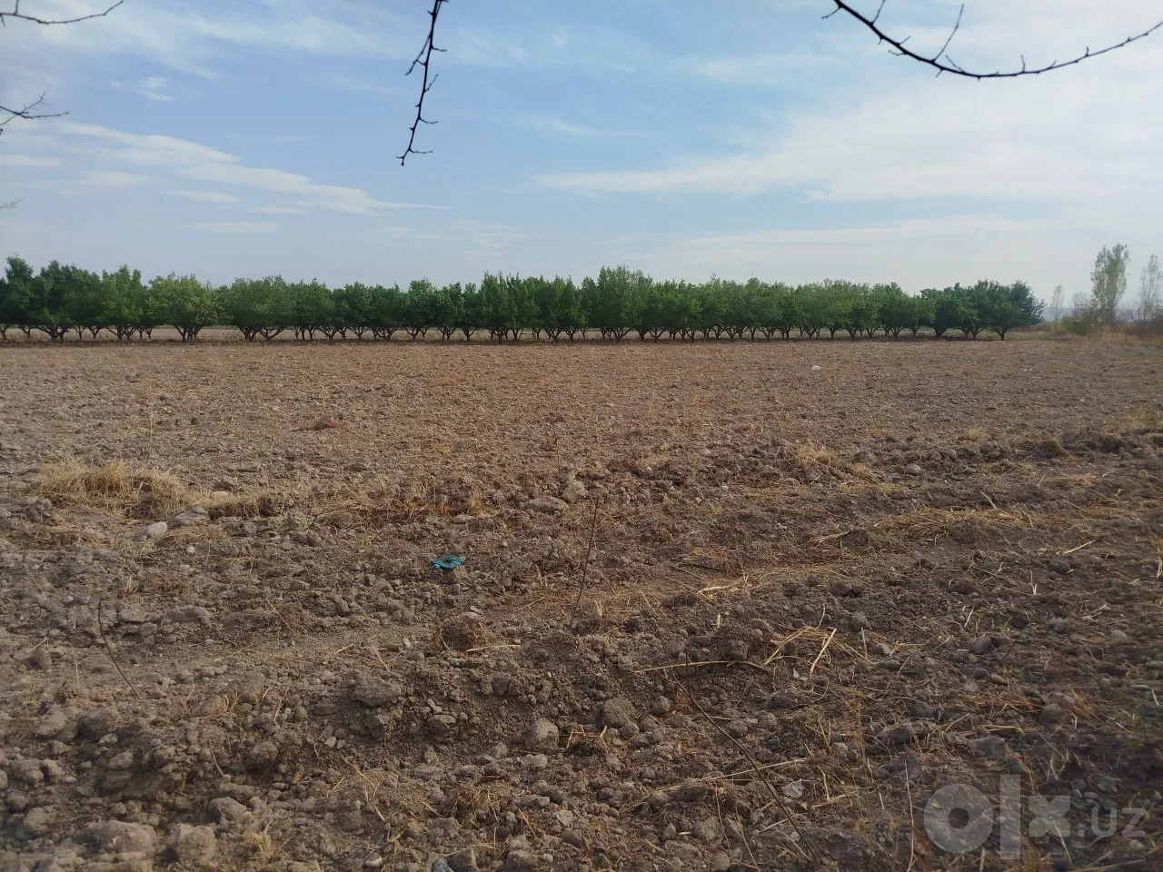 Fergana Region, Toshloq District