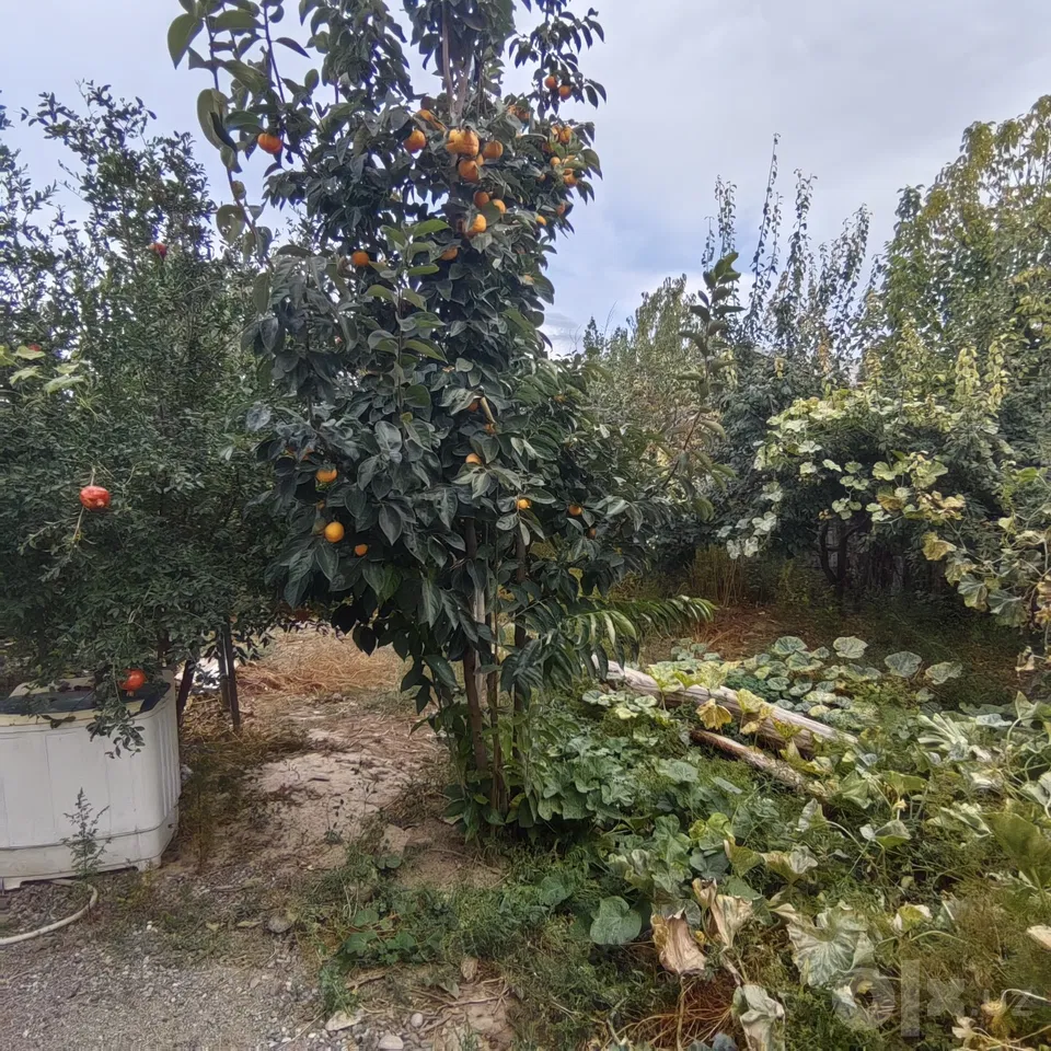 Tashkent Region, Chirchiq