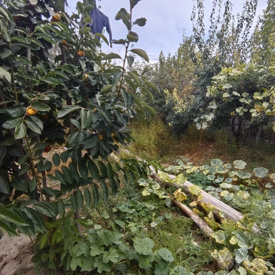 Tashkent Region, Chirchiq