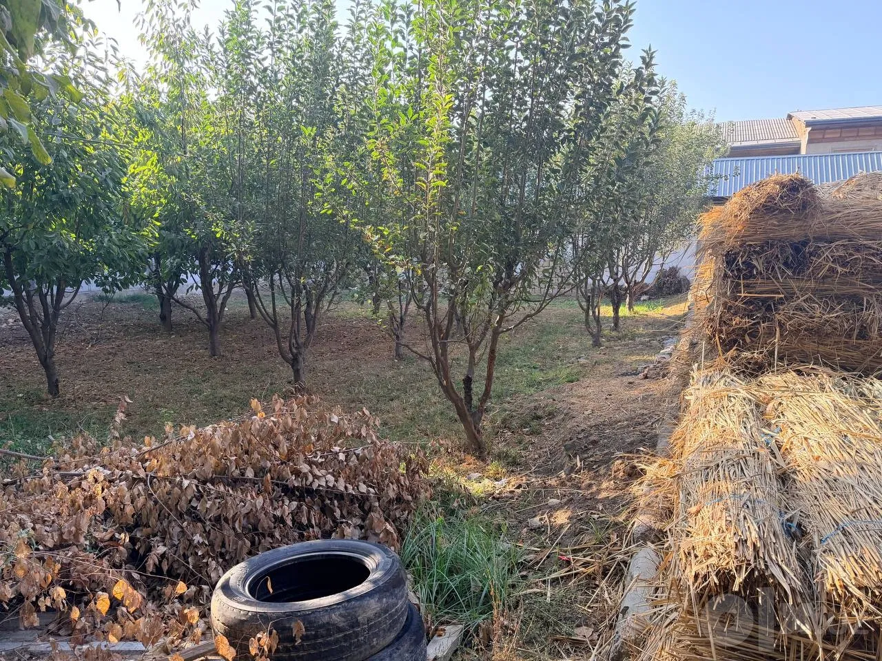 Tashkent Region, Zangiota District
