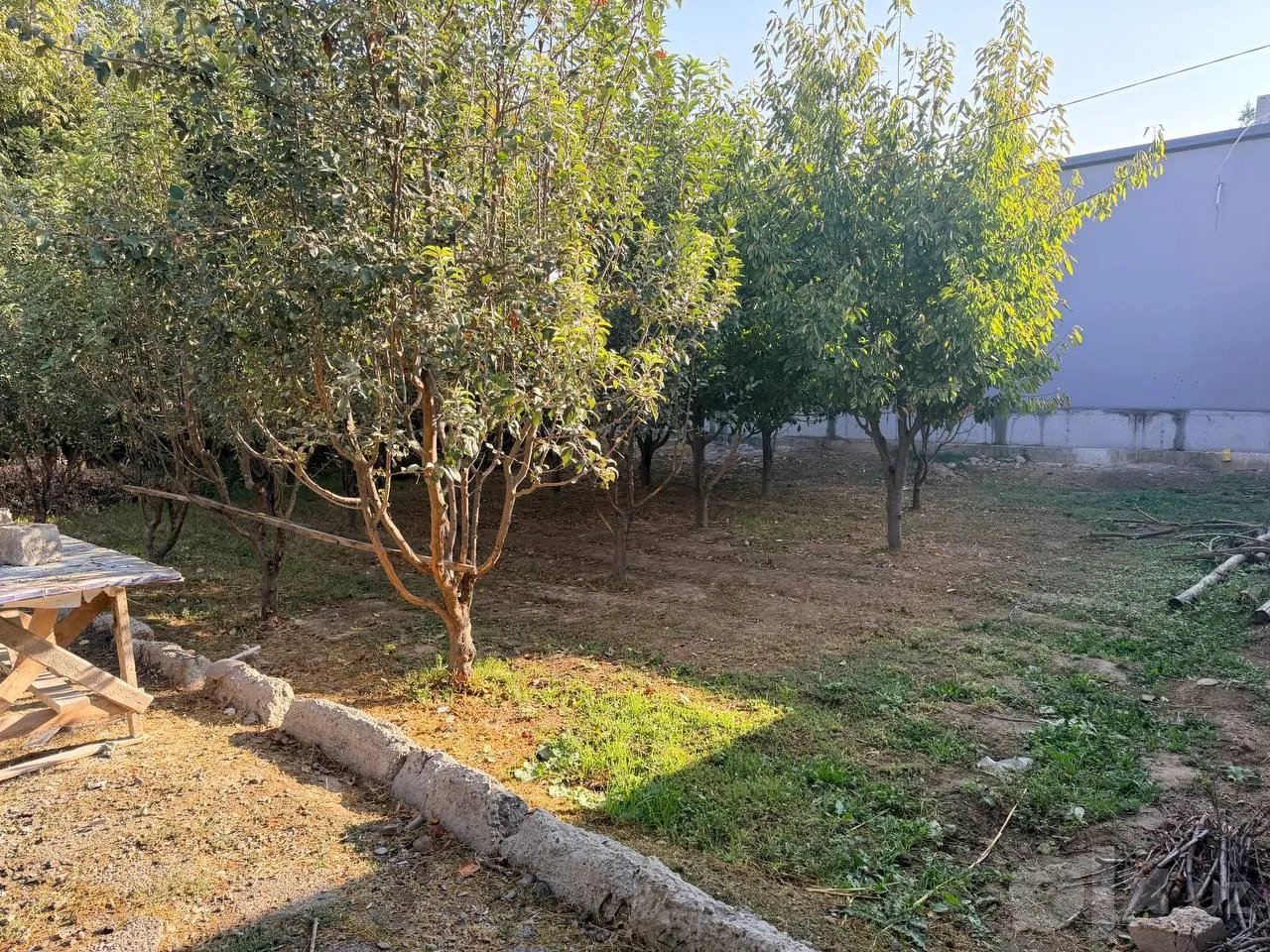 Tashkent Region, Zangiota District