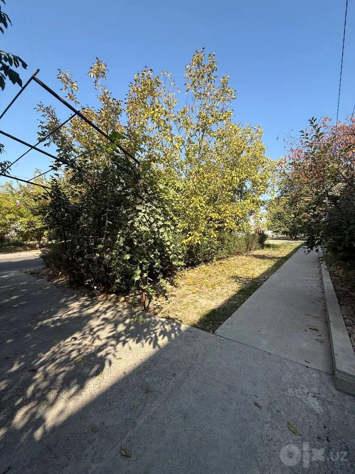 Tashkent City, Olmazor District