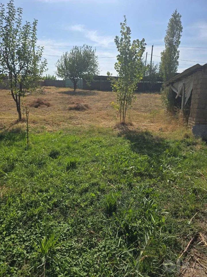 Tashkent Region, Qibray District