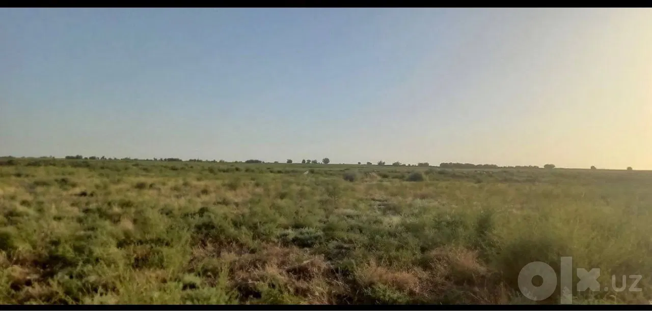 Tashkent City, Mirzo Ulug'bek District