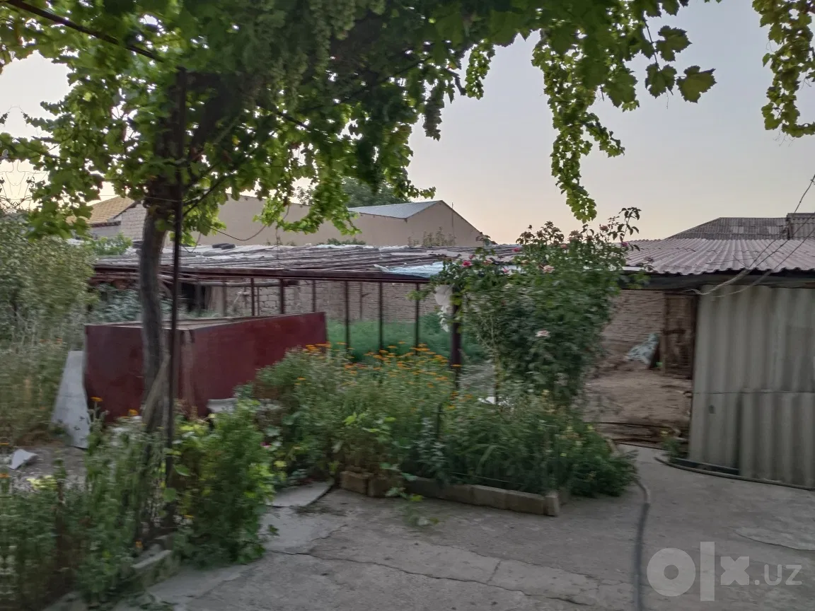 Samarkand Region, Samarkand