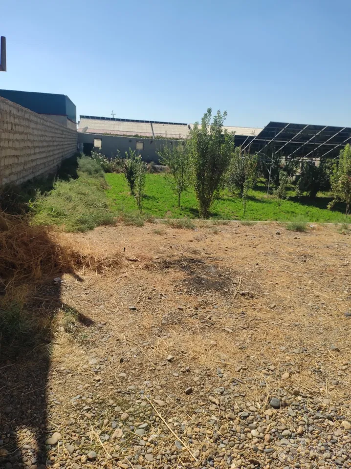 Bukhara Region, Bukhara